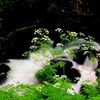 一休みの水風景