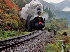 ただみ号
