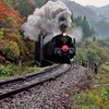 ただみ号