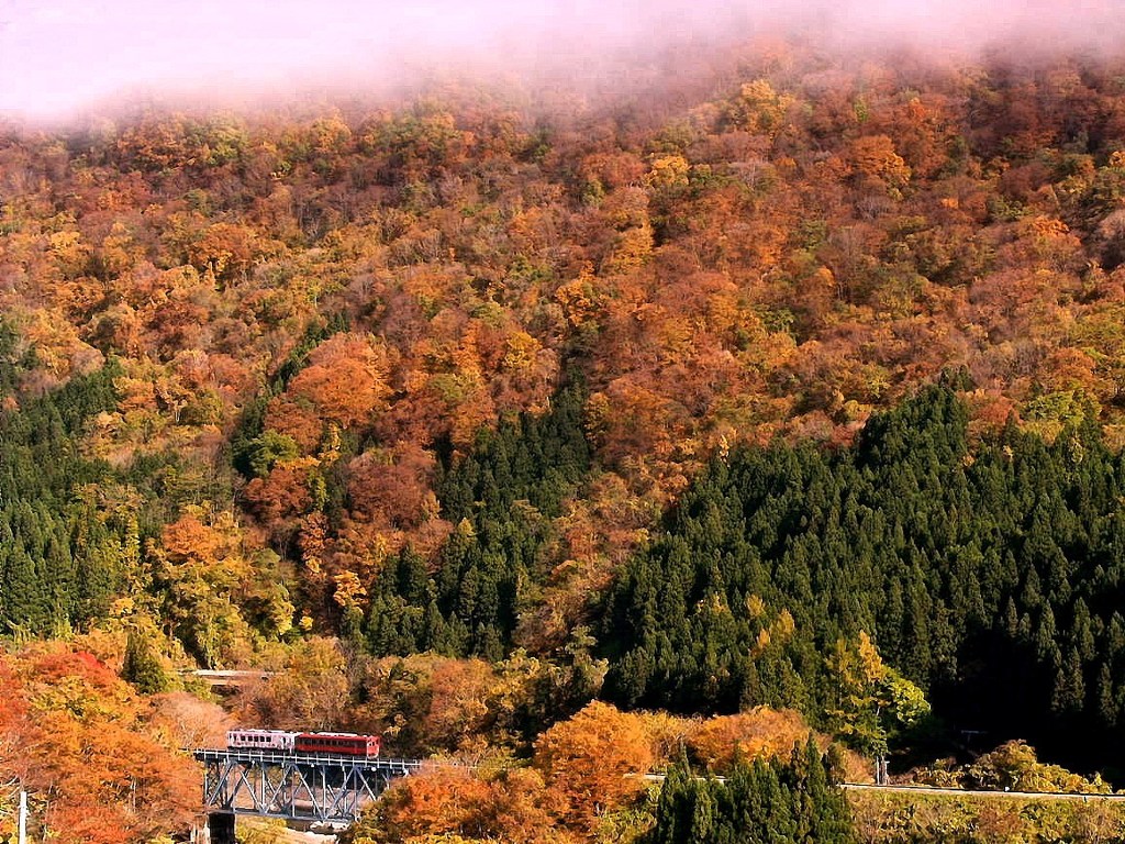 秋の会津鉄道