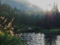 秋の気配