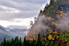 里山の朝