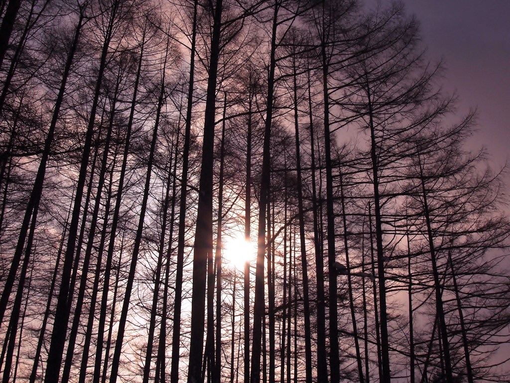 朝陽をあびて