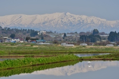 田園に遊ぶ