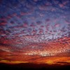 燃える夜明け