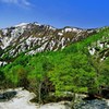 春山