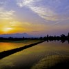 透明な朝
