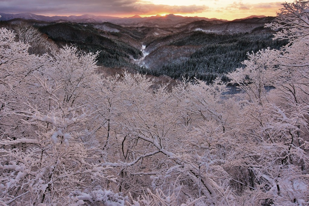 雪化粧
