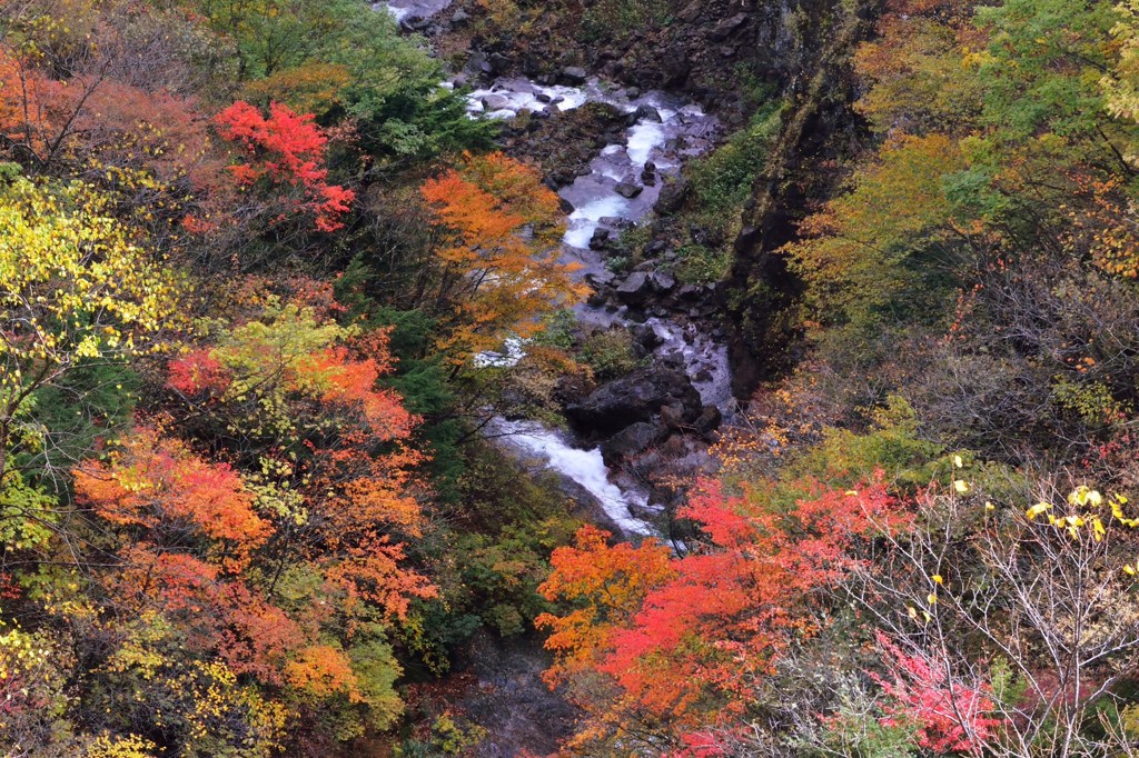 秋の色あい