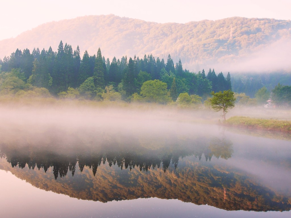 美しい朝景