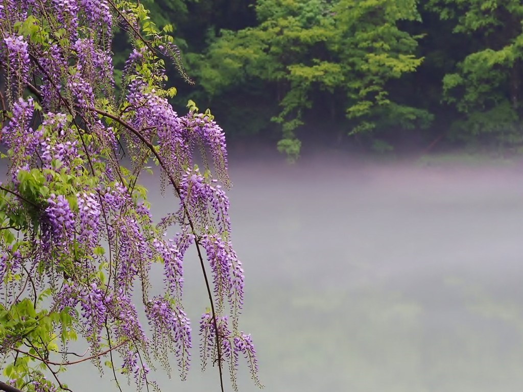 只見川水景(2)