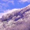 青空樹氷