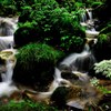 日本の渓流
