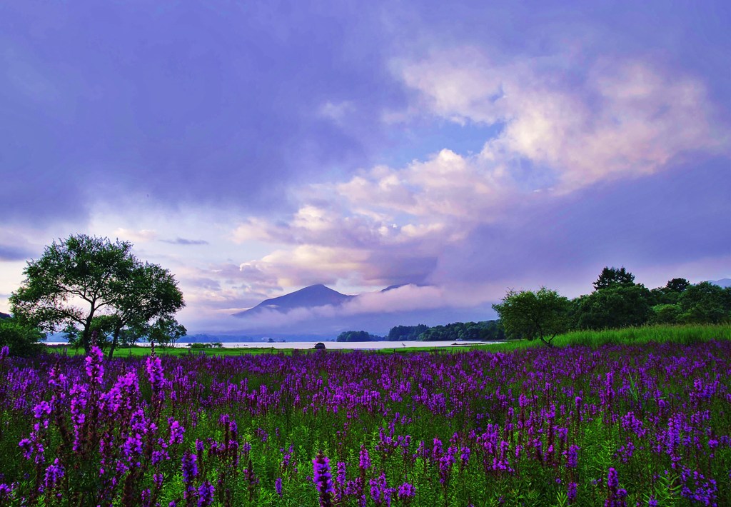 花と磐梯山