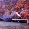 もう見れない只見号