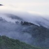 滝雲