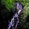 好みの滝