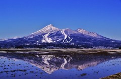 春だけの風景