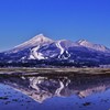 春だけの風景