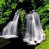 明神滝