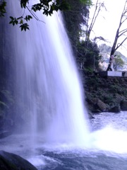 DSCF7821