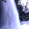 DSCF7821