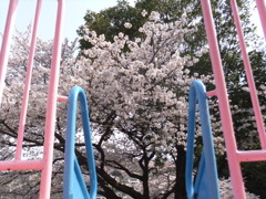 DSCF7777
