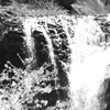 DSCF7840