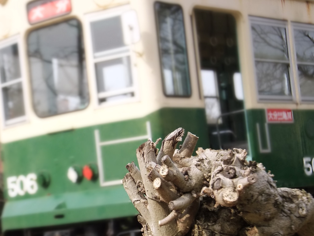 電車