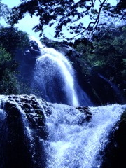 DSCF7790