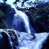 DSCF7790