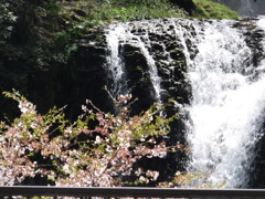 DSCF7841