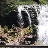 DSCF7841