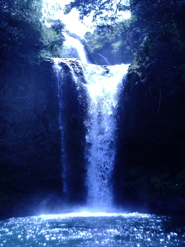 DSCF7791