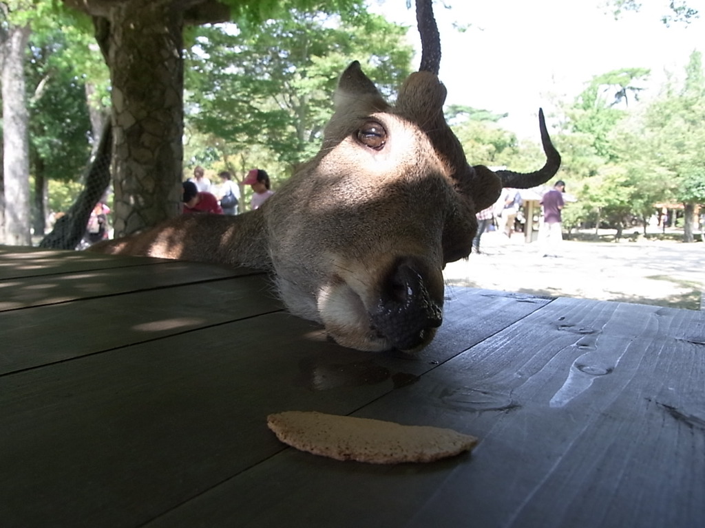 あ・と・ちょっ・・っと