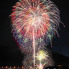夏夜の生け花 ⑵