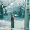  桜の朝