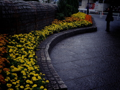 花だん