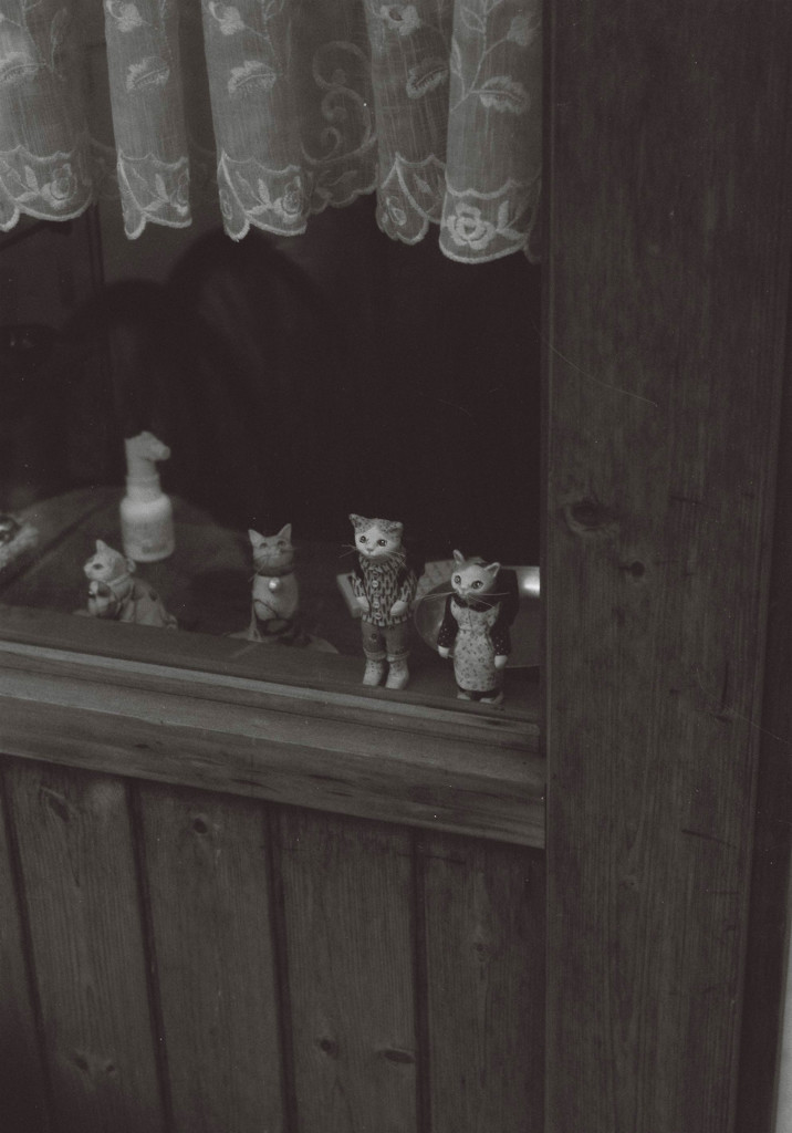 ねこのくに