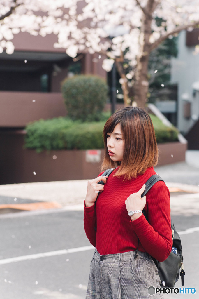 さくらびと