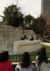 動物園