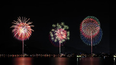 夏夜の生け花  ⑴