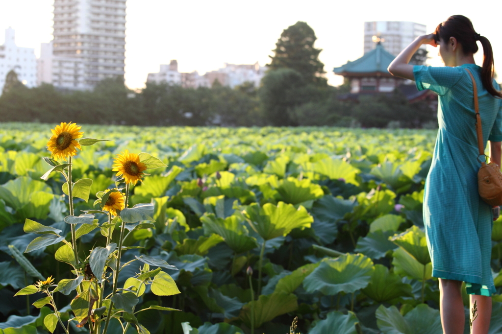 池の端