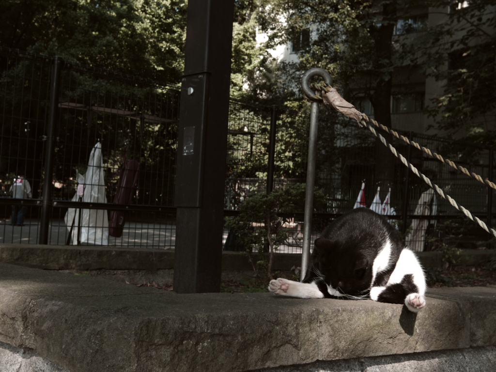 くつろぎタイム