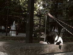 くつろぎタイム