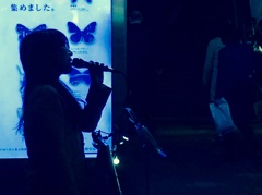 虹