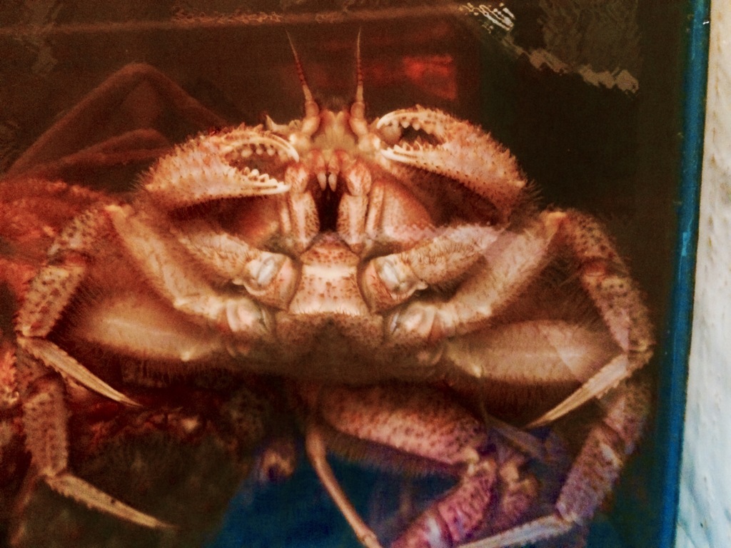 泣ク