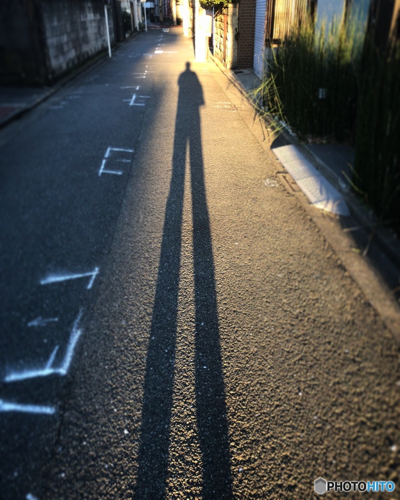 春の光が目覚めた