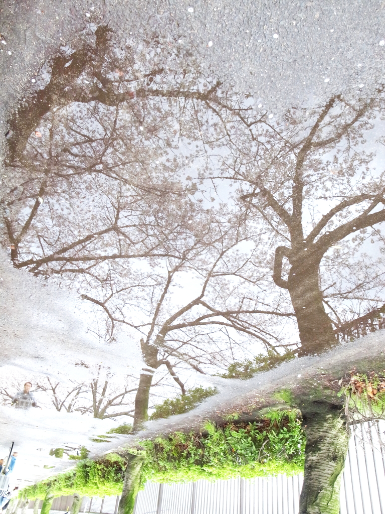 雨上がり