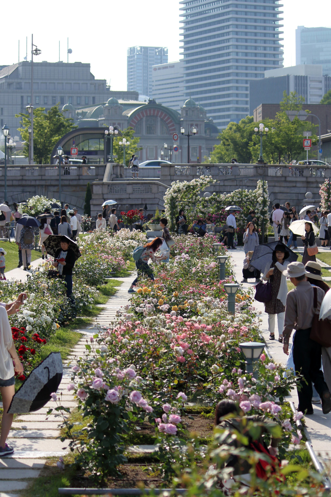 Holiday of Nakanoshima 1
